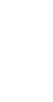 about-left-icon1